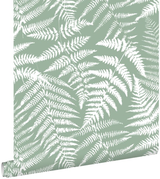 Tapetenrolle mit Farnmuster