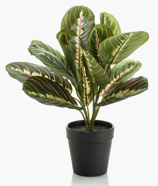 Künstliche Marante mit gemusterten Blättern in einem schwarzen Kunststofftopf.