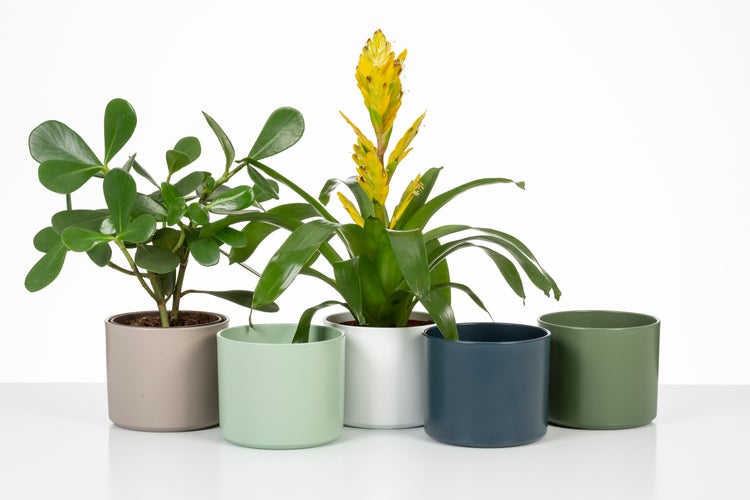Scheurich Monaco, Blumentopf aus Keramik, Farbe: Myrte, 27,8 cm Durchmesser, 25,8 cm hoch, 19,9 l. Vol.