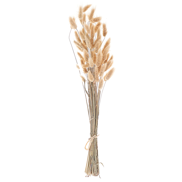 Trockenblumenstrauß SANABRIA 58 cm Naturfarben