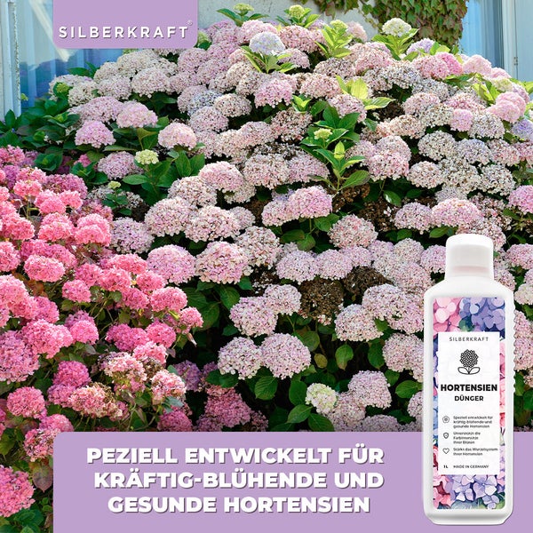 SILBERKRAFT Hortensien Dünger – Für kräftige Blüten – NPK Flüssigdünger – 1 Liter