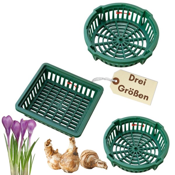 Pflanzkörbe für Blumenzwiebeln Pflanzkorb Blumenzwiebeln Pflanzkörbe für Tulpen Zwiebelpflanzschale Herbstpflanzung Blumenzwiebelschale ø 22 cm 3 St.