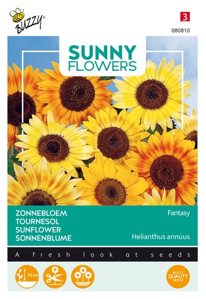 Buzzy Sunny Flowers Sonnenblumen-Samenpackung
