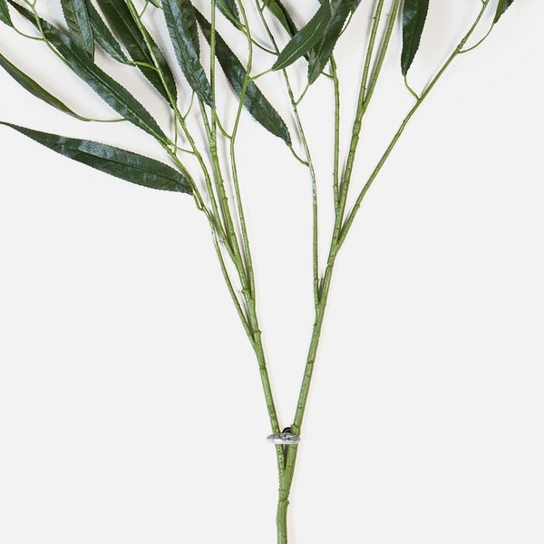 Getrockneter brauner Deko-Zweig Sorghum aus Naturmaterial.