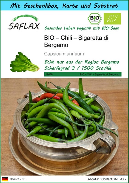 SAFLAX Geschenk Set - BIO – Chili – Sigaretta di Bergamo - Capsicum annuum - 10 Samen - Mit Geschenkbox, Versandaufkleber, Geschenkkarte und Anzuchtsubstrat