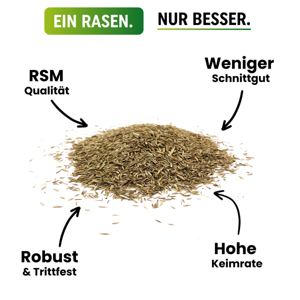 Greenyp® Ultimate I Premium RSM Schattenrasen mit 100% RSM Gräsern I 2,5kg für 100m² I Nachsaat Grassamen Rasensamen Rasensaat Gras für schattige & trockene Standorte