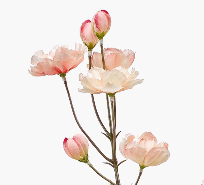 Künstlicher Ranunkelzweig mit mehreren Blüten und Knospen.