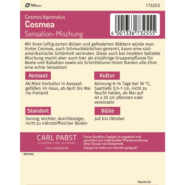 Cosmea Sensation-Mischung Samen von Pabst Keimkraft