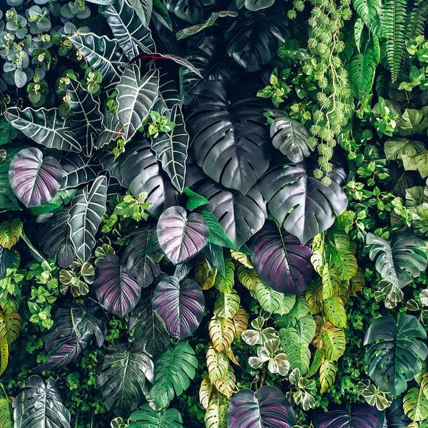 Künstliche Pflanzenwand mit verschiedenen tropischen Blättern wie Monstera und Alocasia für vertikale Gärten und Wanddekoration.