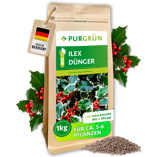 Purgrün Bio Ilex Dünger, ein Kilogramm, vegan mit extra Kalium, hergestellt in Deutschland, für circa fünf bis sechs Pflanzen.