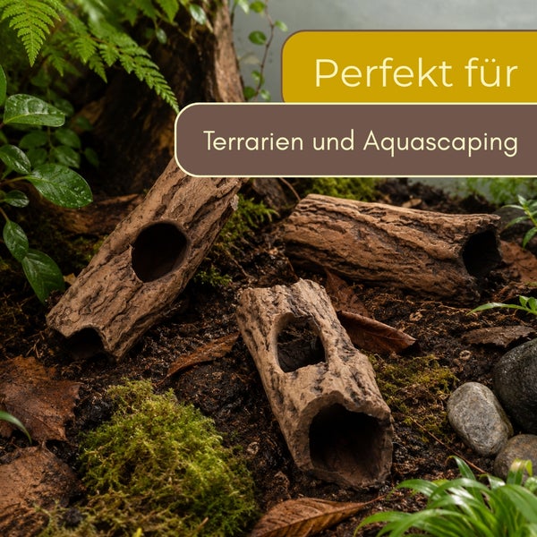 Drei hohle Baumstamm-Nachbildungen für Terrarien und Aquascaping auf Bodengrund mit Moos und Pflanzen.