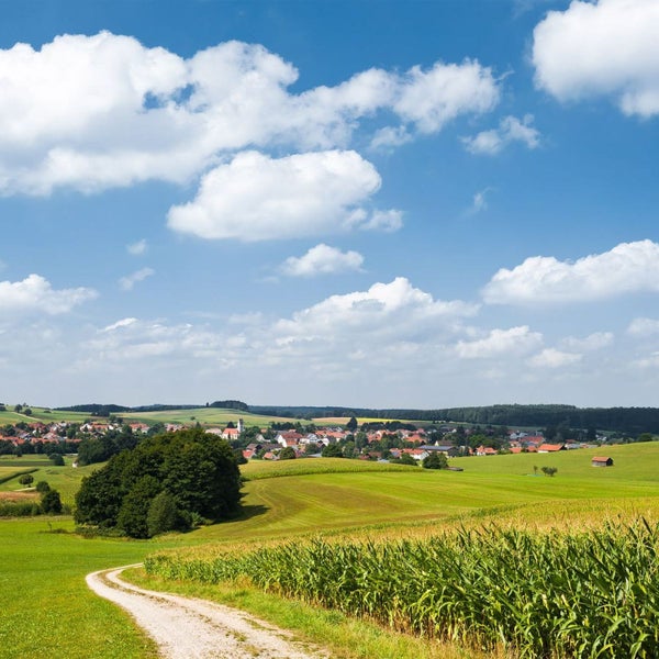 Landschaft mit Feldern, einem Weg und einem Dorf unter blauem Himmel