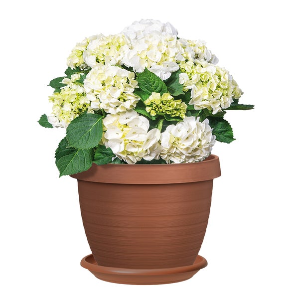 Scheurich 3er Set Blumentöpfe Country Star 40 mit Untersetzern, rund,  aus Kunststoff Farbe: Terracotta, 39 cm Durchmesser, 30 cm hoch, 21,5 l Vol.