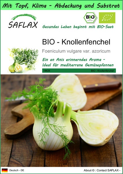 SAFLAX Garden to go - BIO - Knollenfenchel - Foeniculum vulgare var. azoricum - 100 Samen - Mit Topf, Klima - Deckel und Anzuchtsubstrat