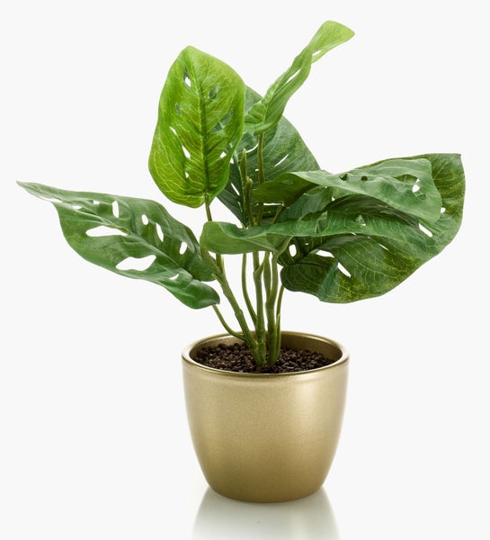 Detailaufnahme einer künstlichen Strelitzia mit großen grünen Blättern und kräftigen Stielen.