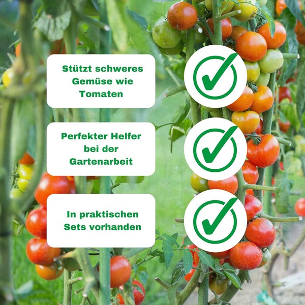 Tomatenpflanzen an Pflanzenstütze mit Vorteilen: Stützt schweres Gemüse, Hilfe bei der Gartenarbeit und in Sets erhältlich.