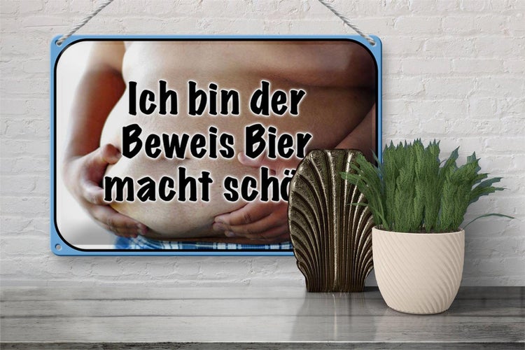 Blechschild Spruch 30x20cm bin Beweis Bier macht schön