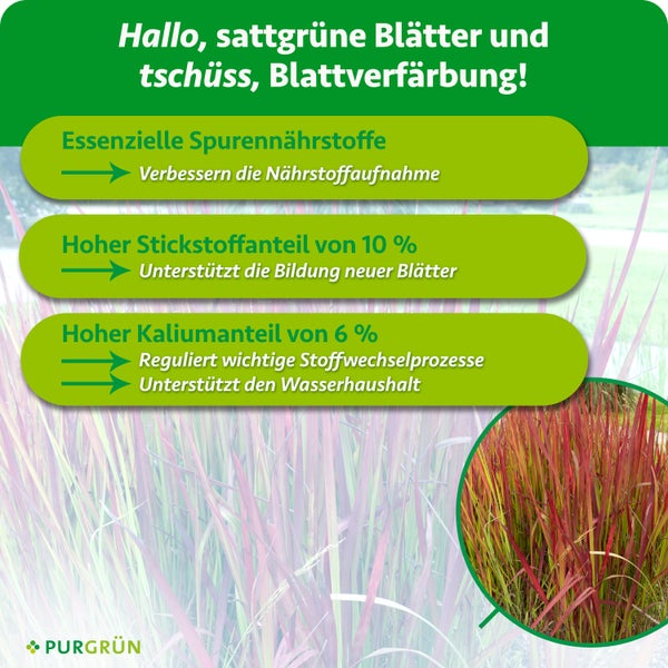 Infografik zum Purgruen Pflanzenduenger mit Erlaeuterung der Wirkungsweise von Spurennahhrstoffen, Stickstoff und Kalium fuer kraeftige Pflanzen.