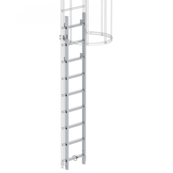 Steigleiter mit Rückenschutz