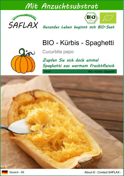 SAFLAX  - BIO - Kürbis - Spaghetti - Cucurbita pepo - 5 Samen - Mit keimfreiem Anzuchtsubstrat