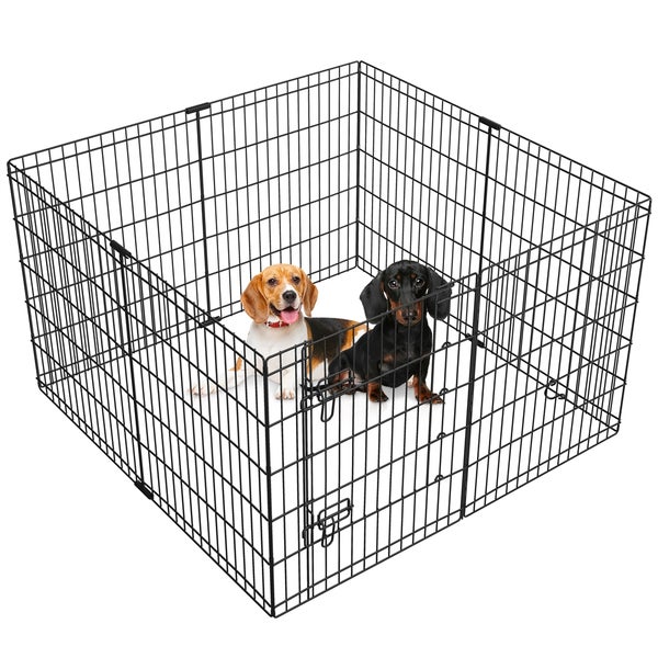 Zwei Hunde, ein Beagle und ein Dackel, in einem schwarzen Metall-Hundeauslaufgehege auf einer weißen Unterlage