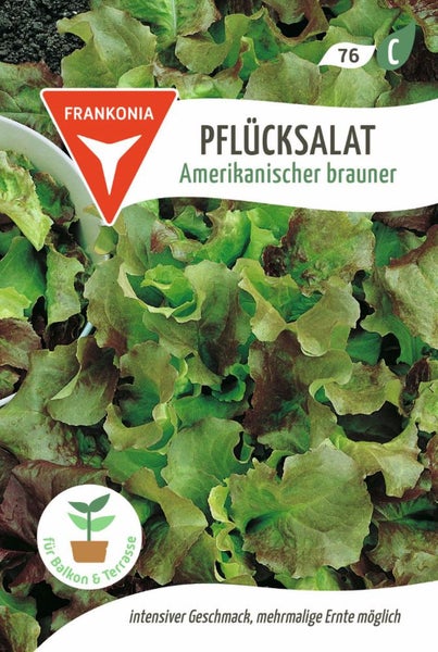 Frankonia Pflücksalat Amerikanischer Brauner Saatgutpackung