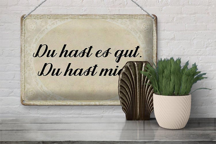 Blechschild Spruch 30x20cm du hast es gut du hast mich