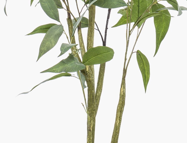 Künstlicher Eukalyptus mit strukturierten Stämmen und spitzen grünen Blättern zur Dekoration.