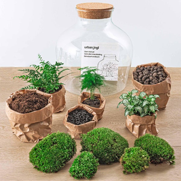 Flaschengarten Fat Joe - GRÜN - DIY-Pflanzen-Terrarium - 30cm hoch