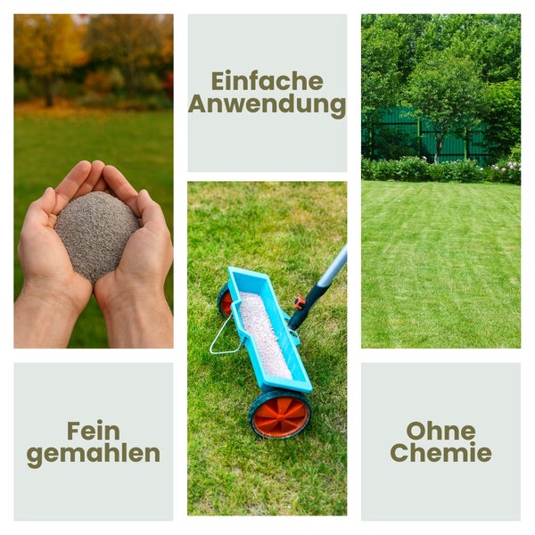 Collage zur Rasenpflege mit feingemahlenem Dünger in Händen, Streuwagen, Rasenfläche und Texten zur einfachen Anwendung ohne Chemie