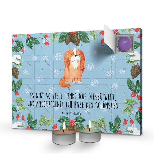 Mr. & Mrs. Panda Duftkerzen Adventskalender Hund Cavalier King Charles Spaniel - Blau Pastell