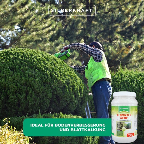 Algenkalk Aktiv – Mikrofeines Pulver zur Bodenverbesserung & Blattkalkung – Für Garten, Beete & Kompost – Reich an Calciumcarbonat & Spurenelementen