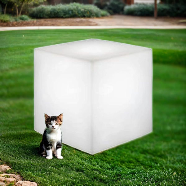 Beleuchteter Gartenwürfel als LED Lichtobjekt platziert auf einer Rasenfläche mit einer sitzenden Katze.
