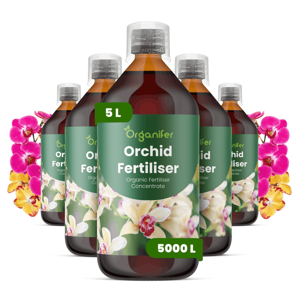 Fünf Flaschen Organifer Orchideendünger Konzentrat, biologischer Flüssigdünger für Orchideen, Inhalt 5 Liter, Ergiebigkeit 5000 Liter.