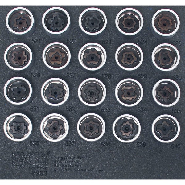 Nahaufnahme von Stechpalmenblättern