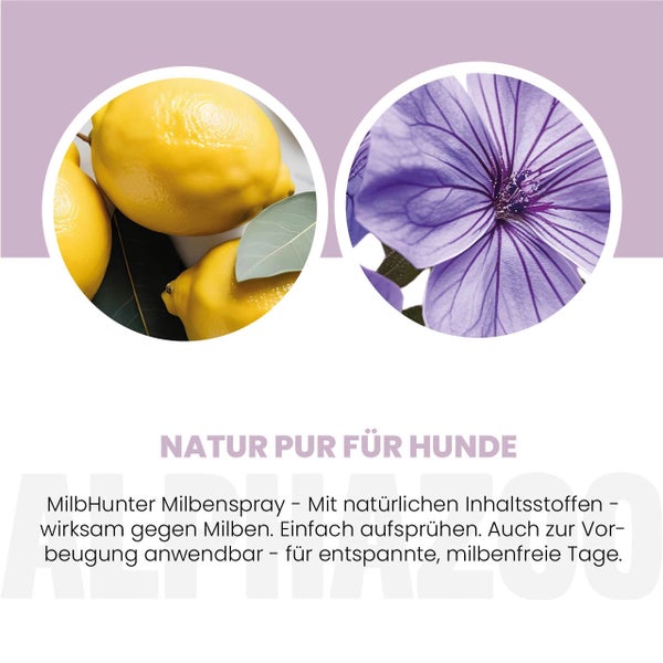 alphazoo MilbHunter Milbenspray für Hunde 250ml