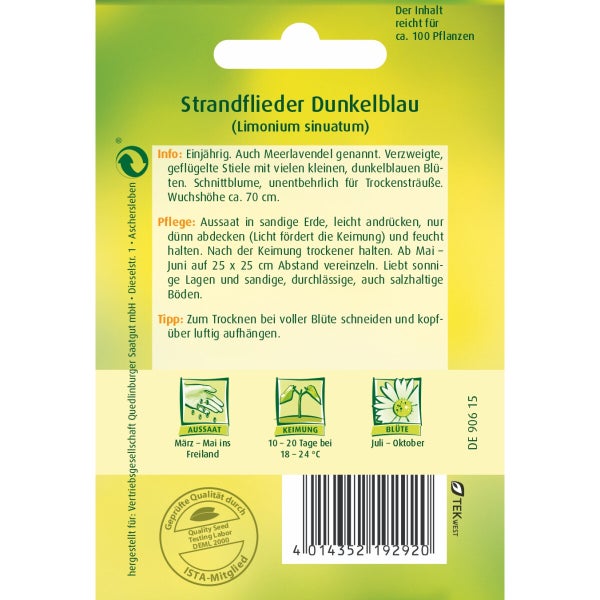 Strandflieder Dunkelblau Samen von Quedlinburger SAATGUT
