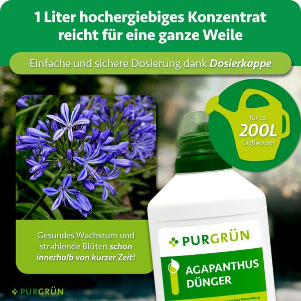 Purgrün Agapanthus Dünger Konzentrat in einer Kunststoffflasche mit Dosierkappe für gesundes Pflanzenwachstum und prächtige Blüten.