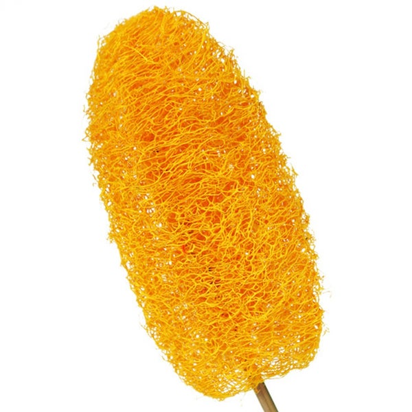 Natürlicher Luffaschwamm am Holzstab