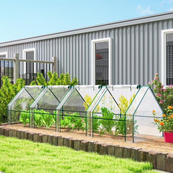 Ein transparentes Folien-Frühbeet im Garten vor einem Haus mit Gartenpflanzen wie Salat und Blumen.