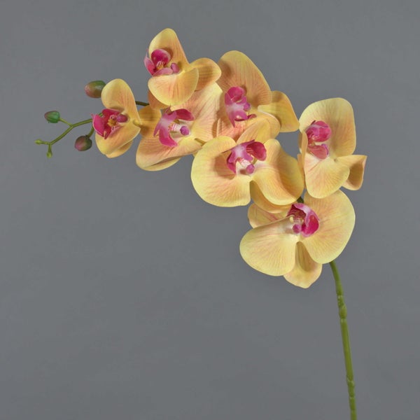 Künstliche Orchidee Phalaenopsis mit gelben Blüten und rosa Mitte auf einem grünen Stiel.
