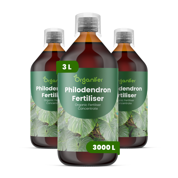 Drei Flaschen Organifer Philodendron-Dünger, organisches Flüssigdüngerkonzentrat, 3 Liter für 3000 Liter Gießwasser.
