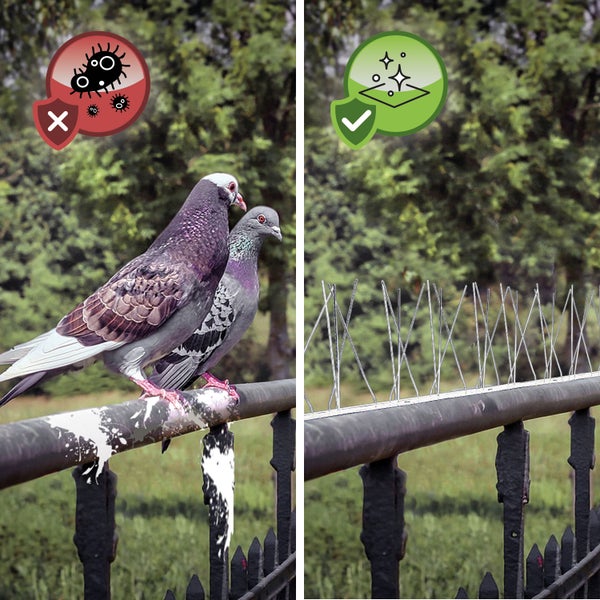 NIEDERBERG METALL Taubenabwehr Spikes - 300cm Kunststoff Tauben Abwehrleiste mit 60 Vogel Abwehr Spikes - Taubenabwehr Balkon Vogelabwehr für Dachbalken - Vogelschutz Dach Solaranlage Photovoltaik
