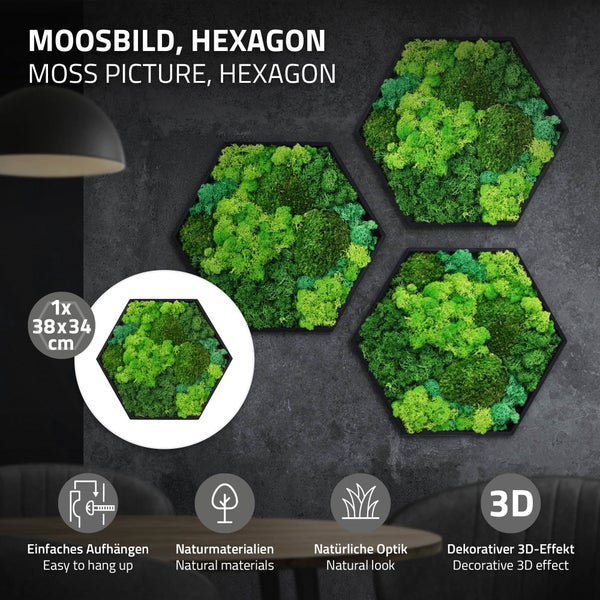 Drei hexagonale Moosbilder zur Wanddekoration mit natürlicher Optik und dreidimensionalem Effekt in der Größe 38 mal 34 Zentimeter.