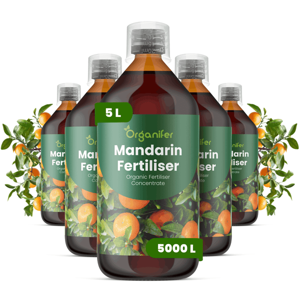 Fünf Flaschen Organifer Mandarinen-Dünger Konzentrat, insgesamt 5 Liter für bis zu 5000 Liter fertigen Dünger.