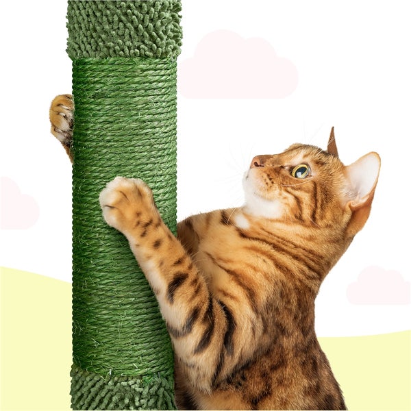 Katze kratzt an Kratzbaum