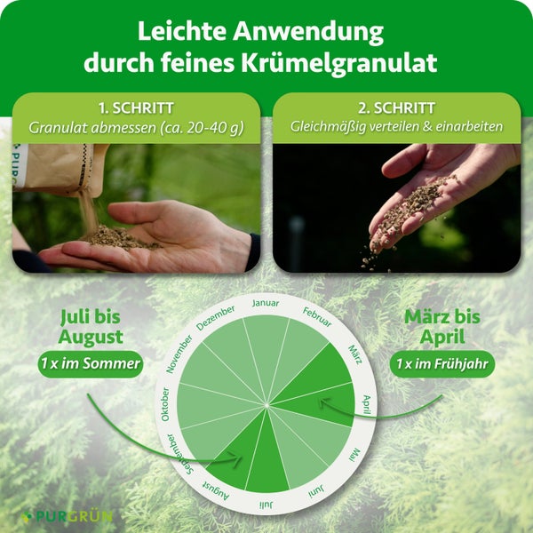 Anwendungshinweise und Düngeplan für Purgrün Granulat mit Schritt für Schritt Anleitung und Zeitstrahl für die Ausbringung im Frühjahr und Sommer.