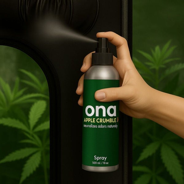 Eine Hand sprüht Ona Apple Crumble Raumspray