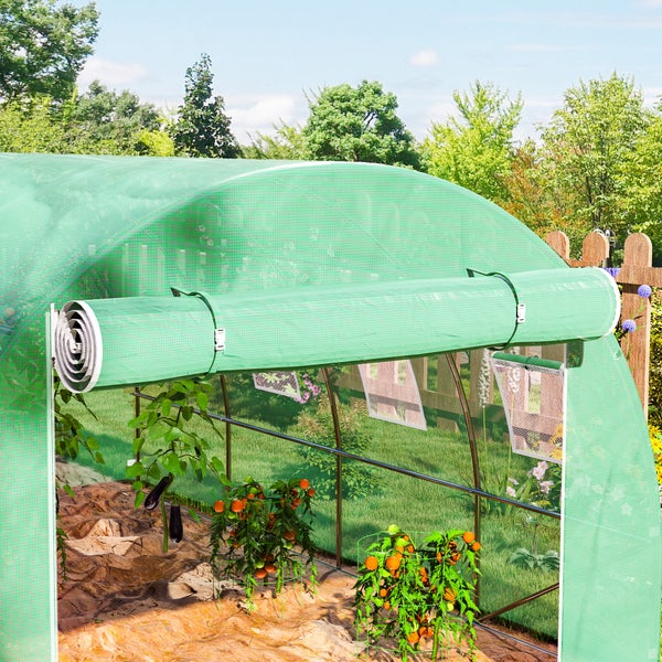 Folien-Gewächshaus mit hochrollbarer Tür und Tomatenpflanzen im Inneren, aufgestellt in einem Garten vor einem Holzzaun.