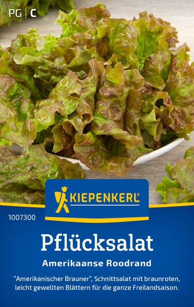 Saatgut Kiepenkerl Pflücksalat Amerikanischer Brauner für den Anbau im Garten
